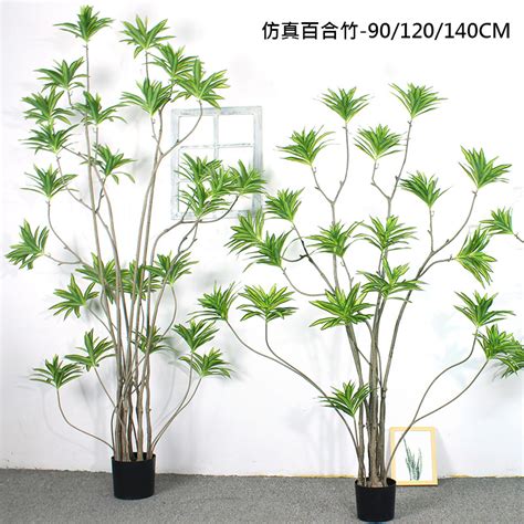 假樹|仿真植物栽盆/擺飾 